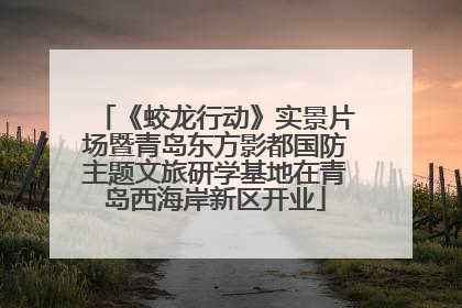 《蛟龙行动》实景片场暨青岛东方影都国防主题文旅研学基地在青岛西海岸新区开业
