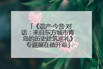 《遗产·今昔·对话：来自东方城市青岛的历史建筑巡礼》专题展在德开幕