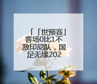 「世预赛」客场0比1不敌印尼队，国足无缘2026世界杯