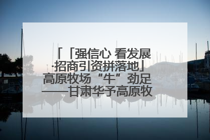「强信心 看发展·招商引资拼落地」高原牧场“牛”劲足——甘肃华予高原牧场高标准奶牛肉牛养殖项目一线见闻