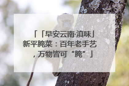 「早安云南·滇味」新平腌菜：百年老手艺，万物皆可“腌”