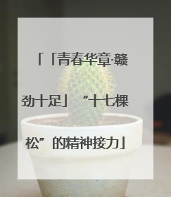 「青春华章·赣劲十足」“十七棵松”的精神接力