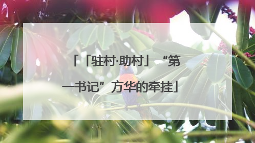 「驻村·助村」“第一书记”方华的牵挂