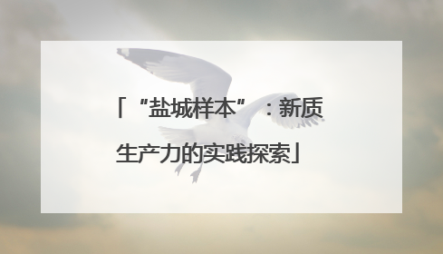 “盐城样本”：新质生产力的实践探索