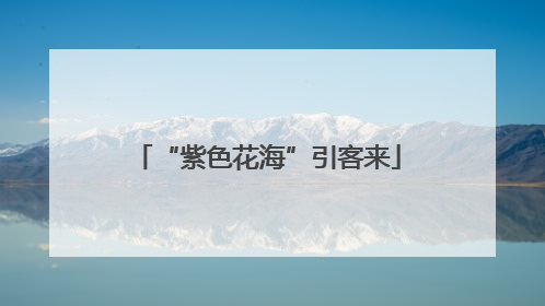 “紫色花海”引客来