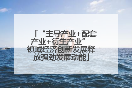“主导产业+配套产业+衍生产业” 镇域经济创新发展释放强劲发展动能