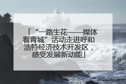 “一路生花——媒体看青城”活动走进呼和浩特经济技术开发区，感受发展新动能