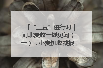 “三夏”进行时｜河北麦收一线见闻（一）：小麦机收减损“竞技” 农机高手麦田“过招”