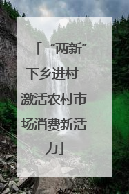 “两新”下乡进村 激活农村市场消费新活力