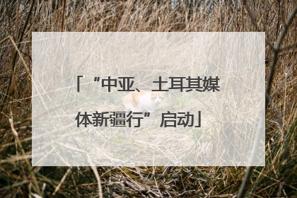 “中亚、土耳其媒体新疆行”启动