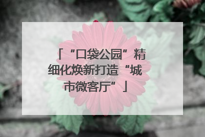 “口袋公园”精细化焕新打造“城市微客厅”