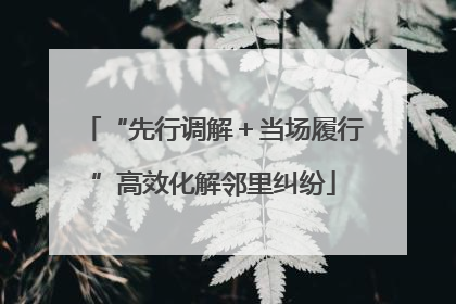 “先行调解＋当场履行”高效化解邻里纠纷