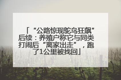 “公路惊现鸵鸟狂飙”后续：养殖户称它与同类打闹后“离家出走”，跑了1公里被找回