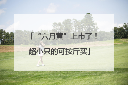 “六月黄”上市了！超小只的可按斤买