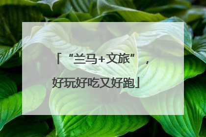 “兰马+文旅”，好玩好吃又好跑