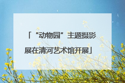 “动物园”主题摄影展在清河艺术馆开展