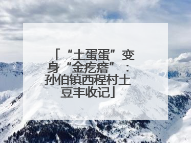 “土蛋蛋”变身“金疙瘩”：孙伯镇西程村土豆丰收记