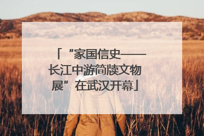 “家国信史——长江中游简牍文物展”在武汉开幕