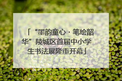 “墨韵童心・笔绘韶华”陵城区首届中小学生书法展隆重开幕