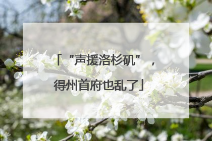 “声援洛杉矶”，得州首府也乱了