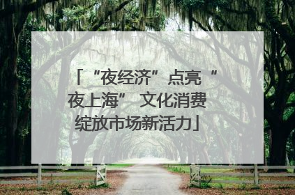 “夜经济”点亮“夜上海” 文化消费绽放市场新活力