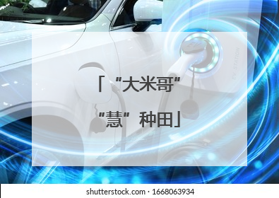 “大米哥”“慧”种田