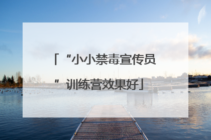 “小小禁毒宣传员”训练营效果好