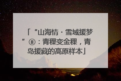 “山海情・雪域援梦”⑧：青稞变金稞，青岛援藏的高原样本