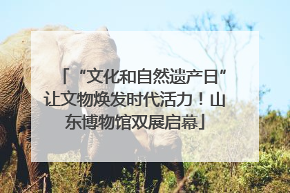 “文化和自然遗产日”让文物焕发时代活力！山东博物馆双展启幕