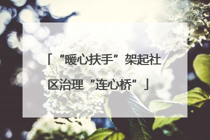 “暖心扶手”架起社区治理“连心桥”