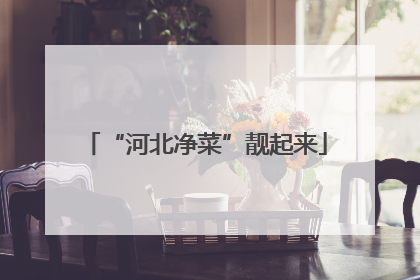 “河北净菜”靓起来
