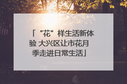 “花”样生活新体验 大兴区让市花月季走进日常生活