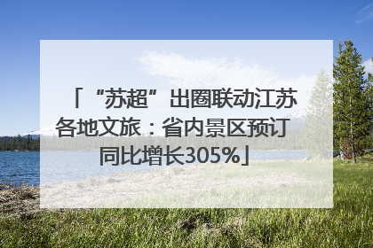 “苏超”出圈联动江苏各地文旅：省内景区预订同比增长305%