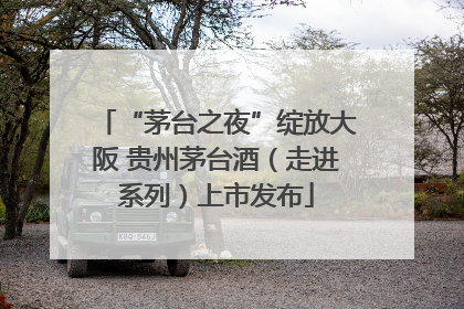 “茅台之夜”绽放大阪 贵州茅台酒（走进系列）上市发布