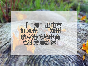 “跨”出电商好风光——郑州航空港跨境电商高速发展综述