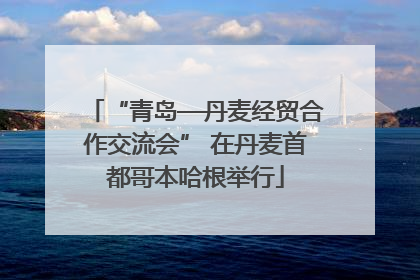 “青岛—丹麦经贸合作交流会” 在丹麦首都哥本哈根举行