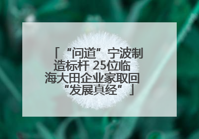 “问道”宁波制造标杆 25位临海大田企业家取回“发展真经”