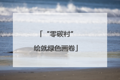“零碳村” 绘就绿色画卷