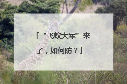 “飞蚁大军”来了，如何防？