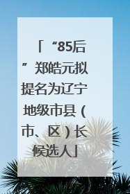 “85后”郑皓元拟提名为辽宁地级市县(市、区)长候选人