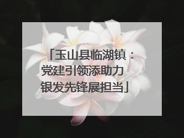玉山县临湖镇：党建引领添助力 银发先锋展担当