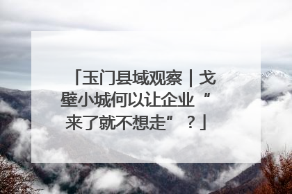 玉门县域观察｜戈壁小城何以让企业“来了就不想走”？