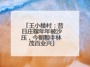 王小楼村：昔日庄稼年年被沙压，今朝粮丰林茂百业兴