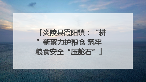 炎陵县霞阳镇：“耕”新聚力护粮仓 筑牢粮食安全“压舱石”