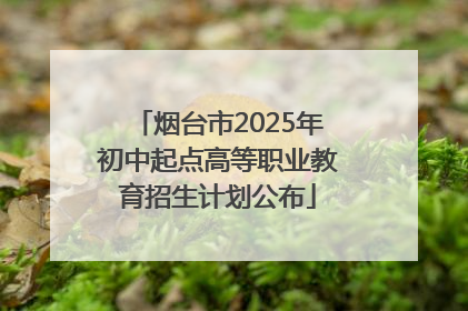 烟台市2025年初中起点高等职业教育招生计划公布
