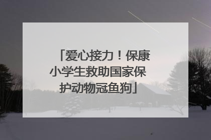 爱心接力！保康小学生救助国家保护动物冠鱼狗