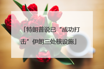 特朗普说已“成功打击”伊朗三处核设施