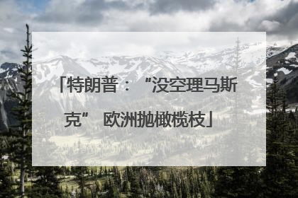 特朗普：“没空理马斯克” 欧洲抛橄榄枝