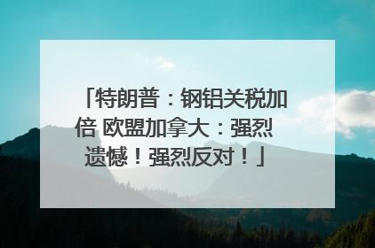 特朗普：钢铝关税加倍 欧盟加拿大：强烈遗憾！强烈反对！