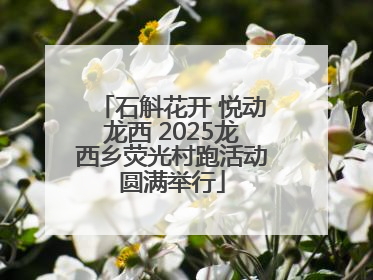 石斛花开 悦动龙西 2025龙西乡荧光村跑活动圆满举行